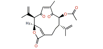 Kallolide H